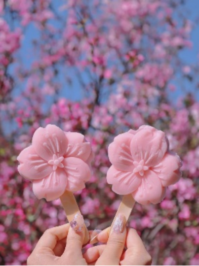 十八罗汉山樱花节