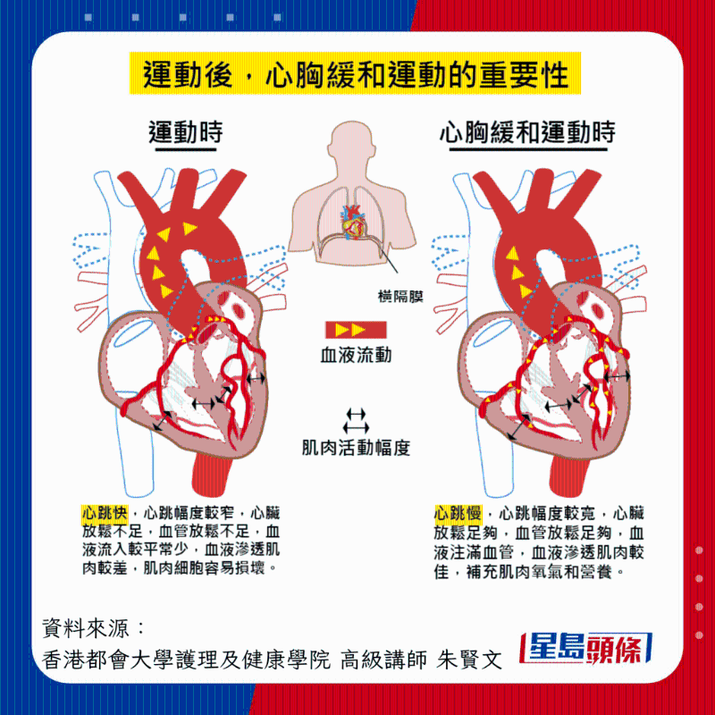 运动后缓和心胸的重要性