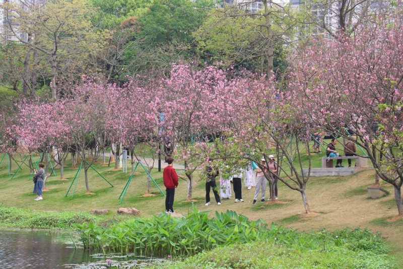 天鹿湖森林公园