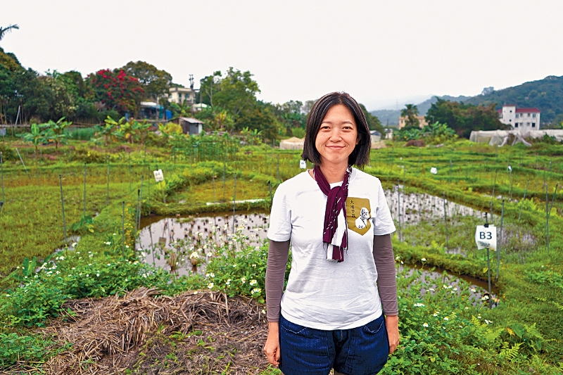 “大地予我”本地稻米纪录计划计划经理、艺术家方韵芝踏入稻田，与团队栽培出新的本地丝苗，共同谱写香港稻米的历史。