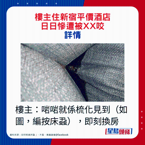 楼主：正好就在沙发见到（如图，编按床虱），即刻换房