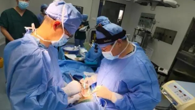 猪至人的异种肝移植临床手术在安徽完成。
