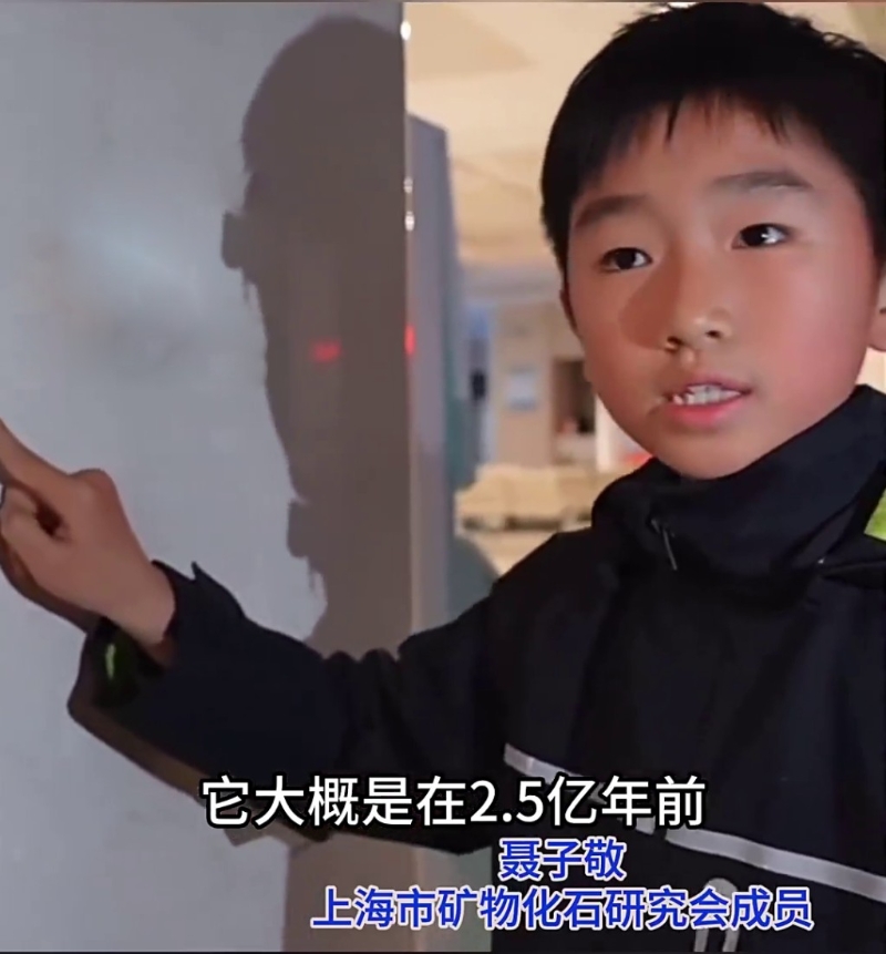聂子敬虽是小学生，但已是上海市矿物化石研究会的一员，对化石有著深入的了解和热爱。看看新闻