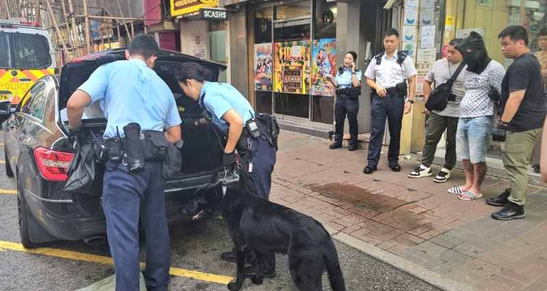 警员及警犬在场搜车。