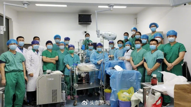 郑州大学世界首例“人造子宫”实验初步成功，胎羊存活90分钟