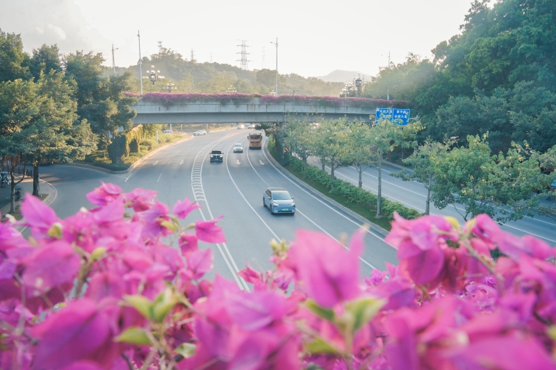 天桥秋季穿“花衣”