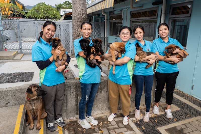 惩教署爱羣义工团辖下的警卫犬队分队，每月恒常前往香港拯救猫狗协会两次，协助训练幼犬